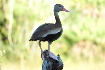 Becks Bed & Breakfast