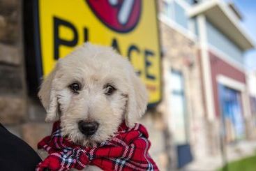 My Place Hotel Tucson South, Az