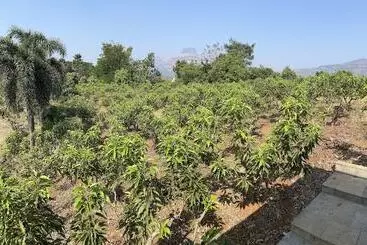 The Riverstone Agro Farm