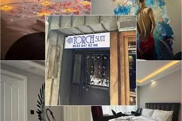 ホテル Torch Suit
