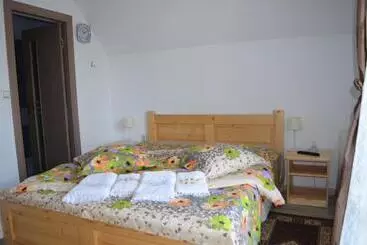 Pensiune Casa Viorica și Luis
