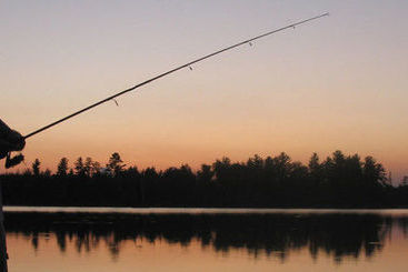 بيت Birch Forest Lodge