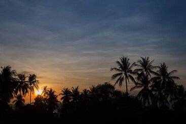 דירות לתיירים Luxury Villa Pina Colada