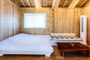 Ocean Log Pension