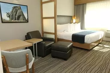 Hotel Best Western Plus Sawridge Suites