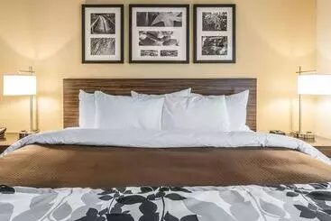 酒店 Sleep Inn & Suites Jasper I22