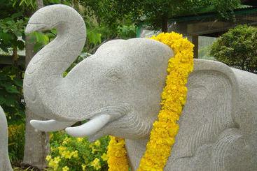 Hotel Jungle Village Bungalows