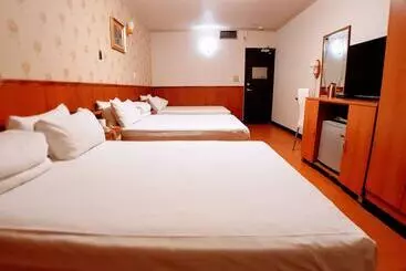 هتل New May Flower