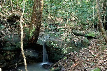 一軒屋 Montville Oceanview Cottages