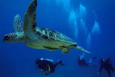 فندق Ombak Dive Resort