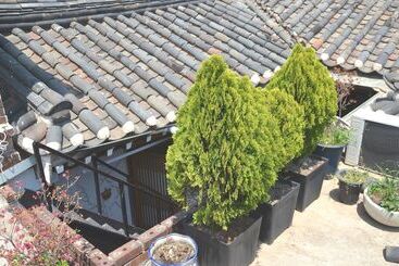 Pensione Raon Guest House Jongno