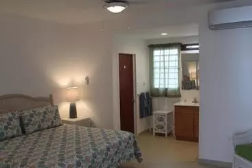 آپارتمان The Horny Toad Guest House