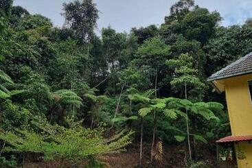 ペンション Arundina Cameron Highlands