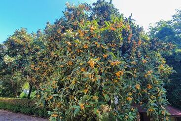 ペンション Villa Sargiano