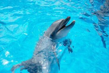 Sunwest Hotel Sasebo