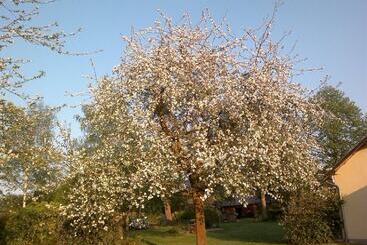 Bed and Breakfast Les Marronniers