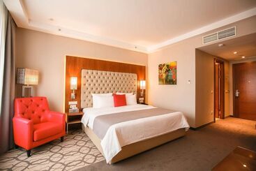 ホテル Ramada Plaza By Wyndhamvoronezh City Centre