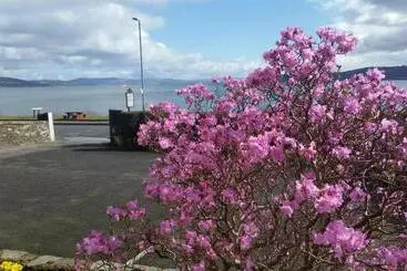 Pensió Douglas Park Guest House