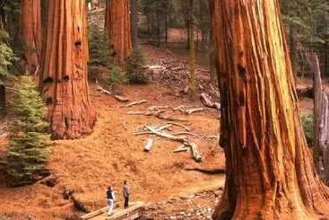 Mökkimajoitus Scenic Wonders Yosemite View 3 Bedrooms