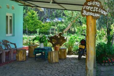 הוסטל Ohiya Forest Lodge