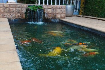 ホテル The Angels Place Boutique Guest House