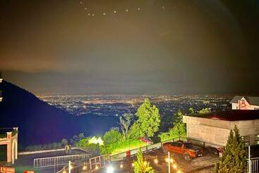 Отель Rex Diamond