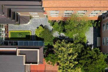 Hôtel Thrive, A Tropical Courtyard