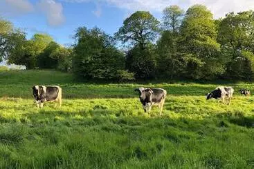 Bed and Breakfast Le Manoir De La Beslière Gîte Et Chambres D Hôtes