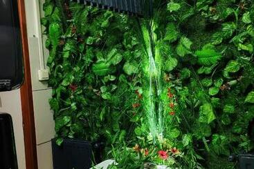 هتل Cruiser Restoran