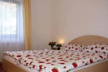ホテル Haus Salzberg Garni