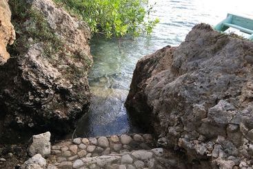 هتل Vistalmar Ocean Suites Brand New Renovated 1bdr  Ocean View  Infinity Pool  Mini Beach  Full Kit