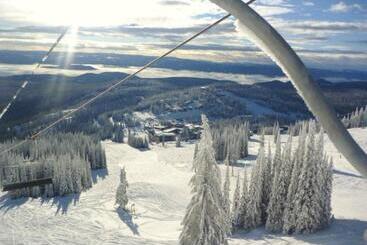 Szálloda The Bulldog