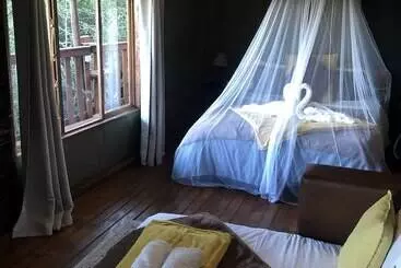 Hotel Teniqua Treetops