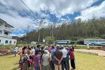 Pension  The Green Savanna Holiday Bungalow