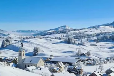 ホテル Appenzeller Huus Huus Loewen