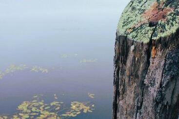 茅舍 Ship S Wheel Resort