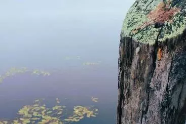 Mökkimajoitus Ship S Wheel Resort