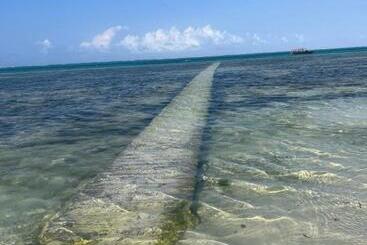 Tropical Boutique Hotel & Resto