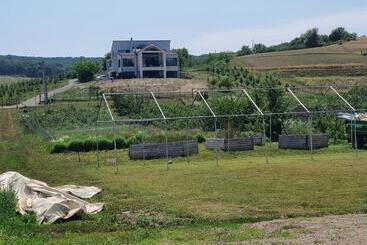 Pensiunea Kamilla Panzio