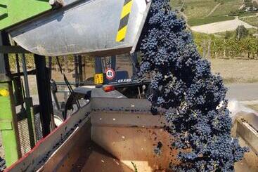 فندق Agriturismo Le Due Cascine