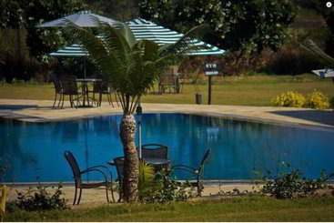 酒店 The Golden Tusk