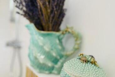 پانسیون Saga Proprietate Administrata De O Gazda Particulara