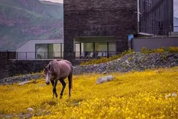 Hotel Step Inn   Kazbegi