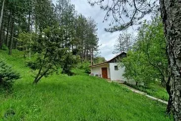 Hostel Bujtinat Skenderi Gjinar