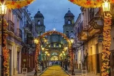 هتل Las Panosas