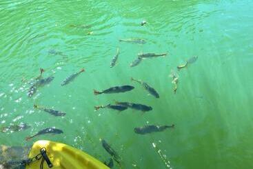 Отель Pousada Boyrá