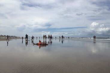 Refugio Hostel Fortaleza