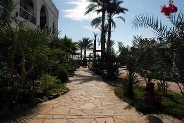 Отель Planet Oasis