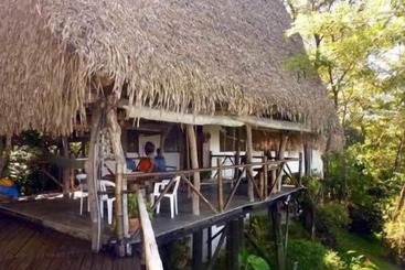 Bed and Breakfast Treetops Inn