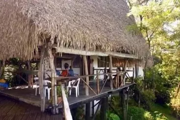 Aamiaismajoitus (B&B) Treetops Inn